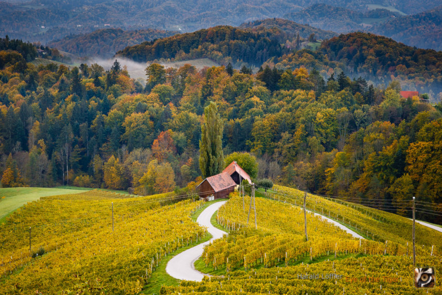 20151022 HL7 6431 900x600 - Landschaft