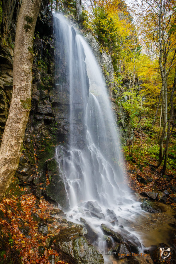 20151022 HL7 6482 600x900 - Landschaft