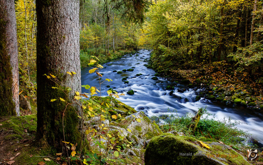 20171015 HL9 8351 900x563 - Landschaft