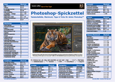 PS Spickzettel 1 Web 400x285 - Spickzettel