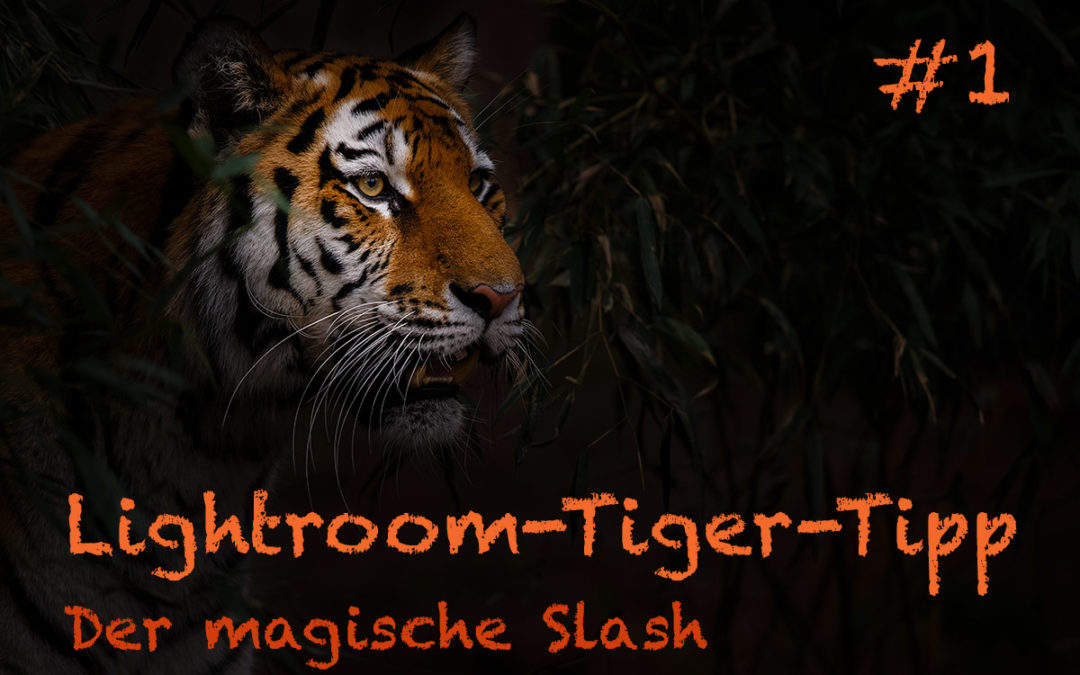 Lightroom-Tiger-Tipp #1: „Der magische Slash“