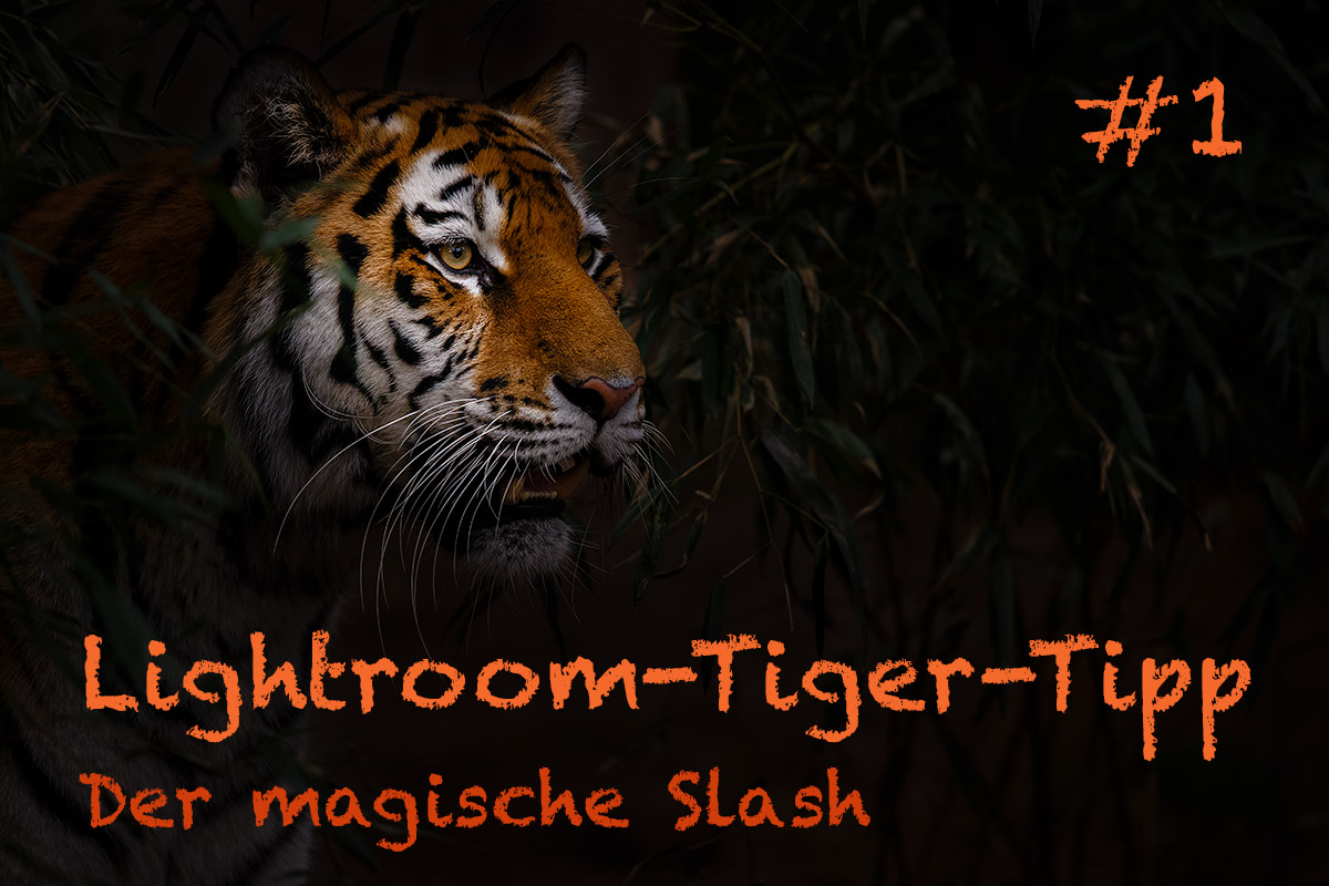 LTT001 00 Header - Lightroom-Tiger-Tipp #1: "Der magische Slash"