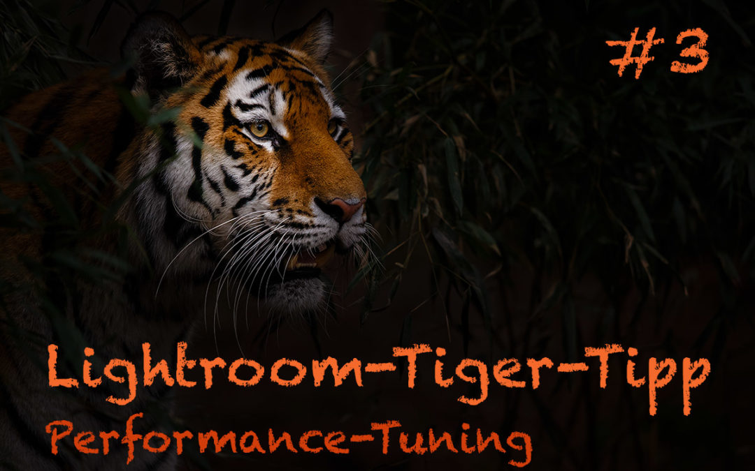 Lightroom-Tiger-Tipp #3: „Performance-Tuning“