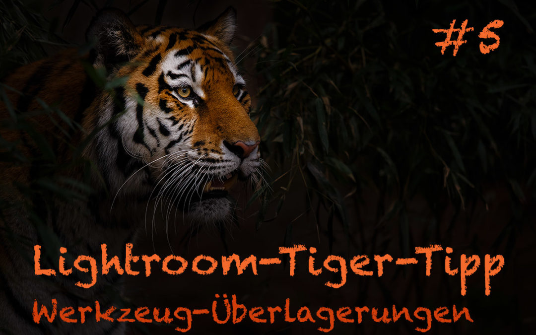 Lightroom-Tiger-Tipp #5: „Werkzeugüberlagerungen“