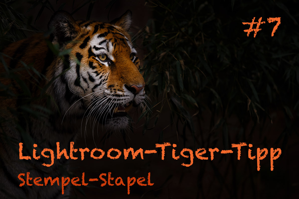 LTT007 00 Header - Lightroom-Tiger-Tipp #7: "Stempel-Stapel"