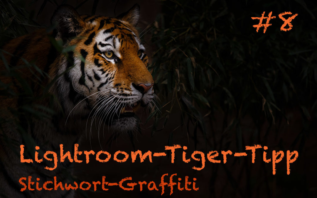 Lightroom-Tiger-Tipp #8: „Stichwort-Graffiti“