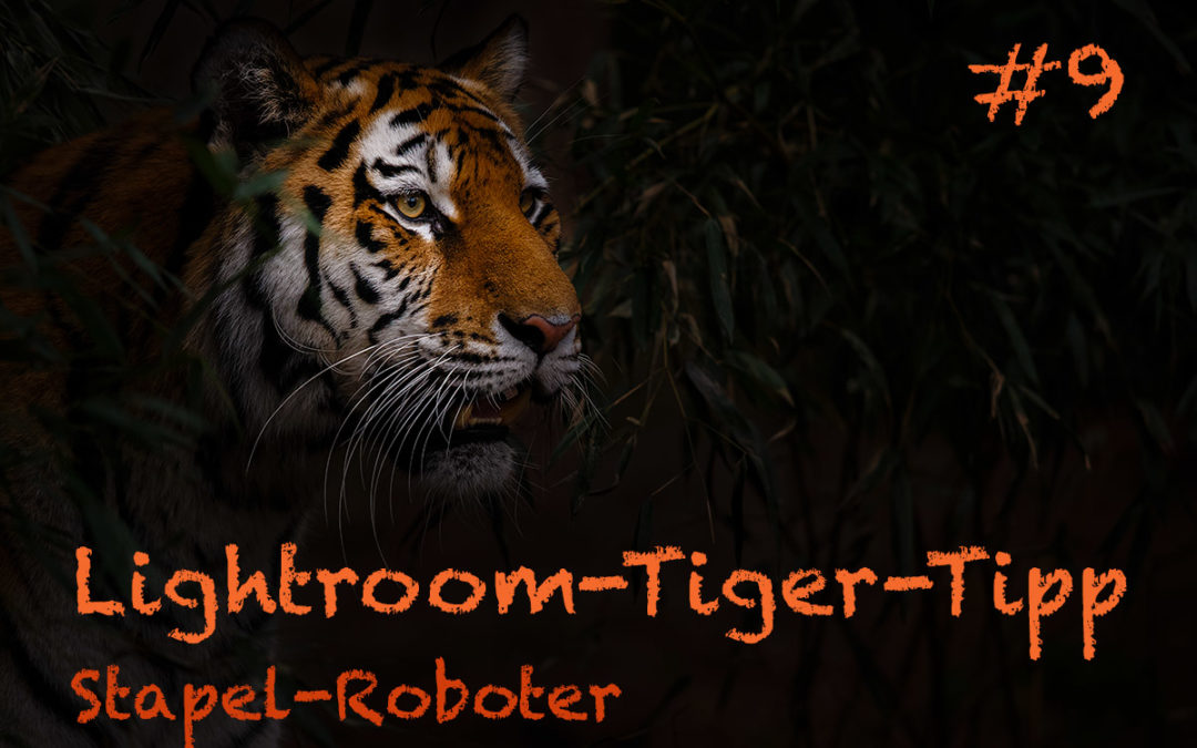 Lightroom-Tiger-Tipp #9: „Stapel-Roboter“