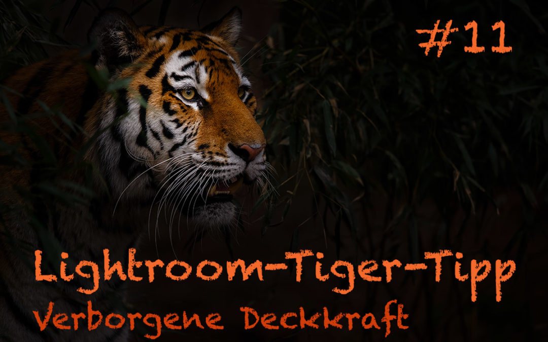 Lightroom-Tiger-Tipp #11: „Verborgene Deckkraft“