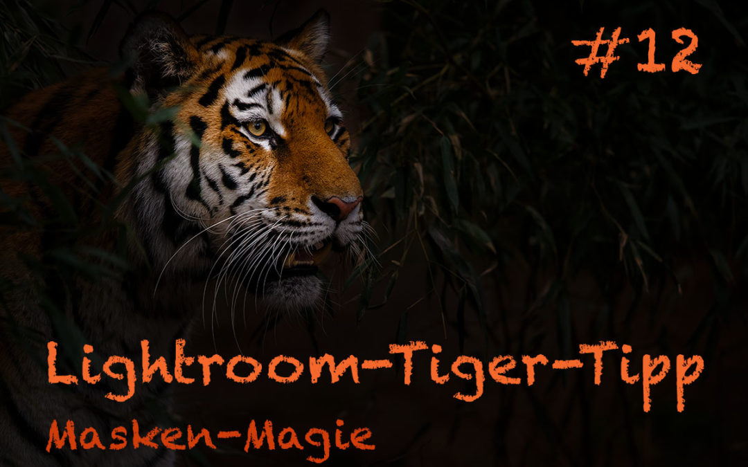 Lightroom-Tiger-Tipp #12: „Masken-Magie“