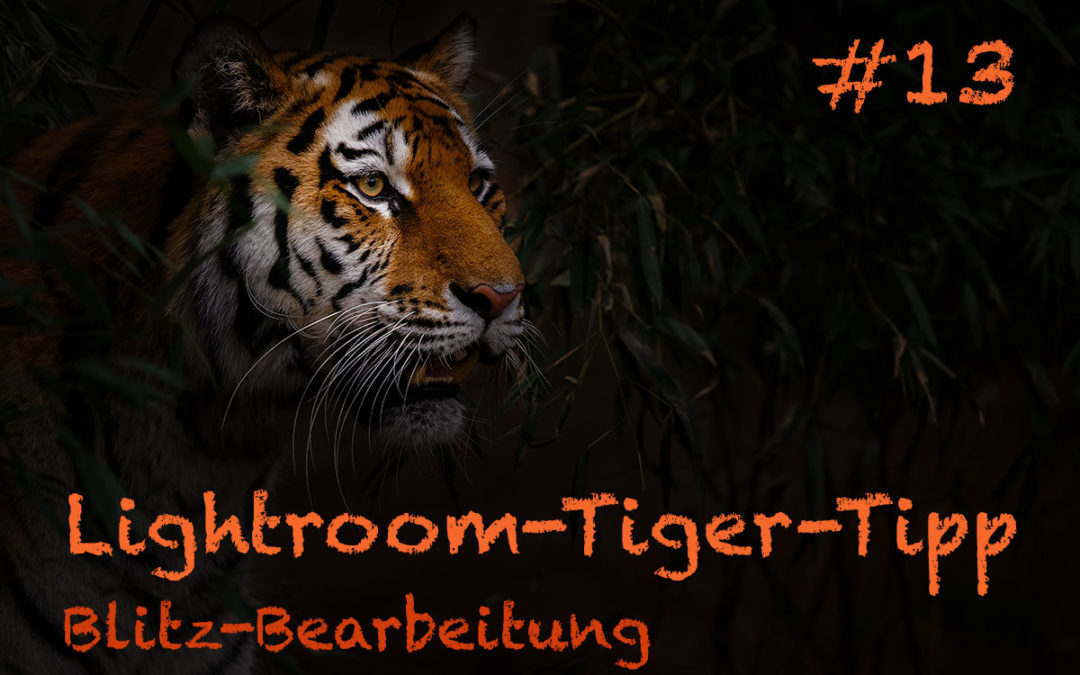 Lightroom-Tiger-Tipp #13: „Blitz-Bearbeitung“