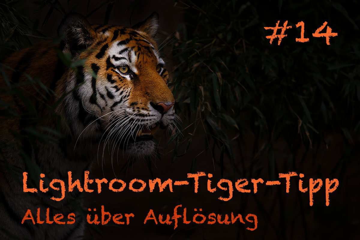 LTT014 00 Header - Lightroom-Tiger-Tipps