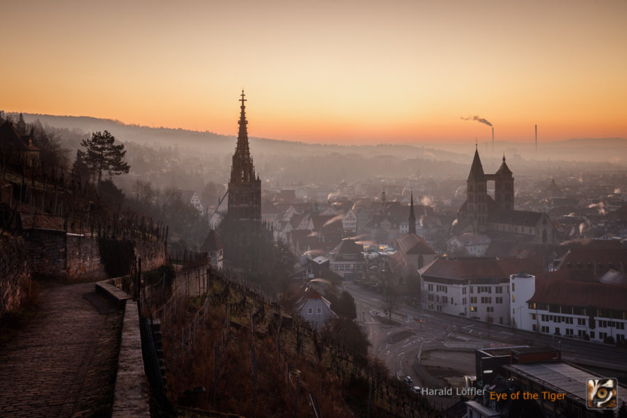 20200208 HL9 1687 900x600 - Heimat – Esslingen