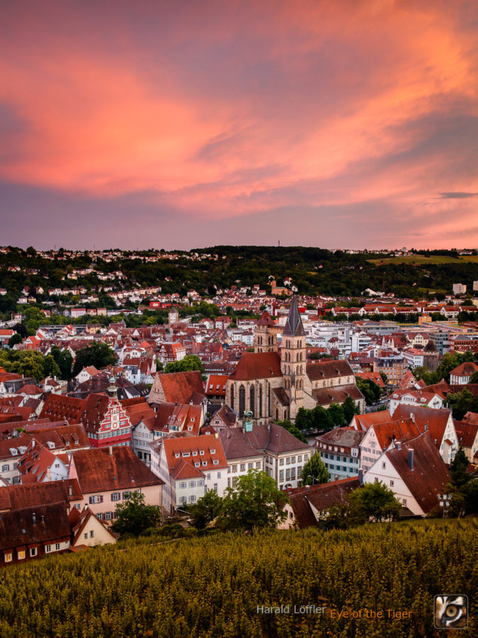 20200608 HL9 1864 675x900 - Heimat – Esslingen