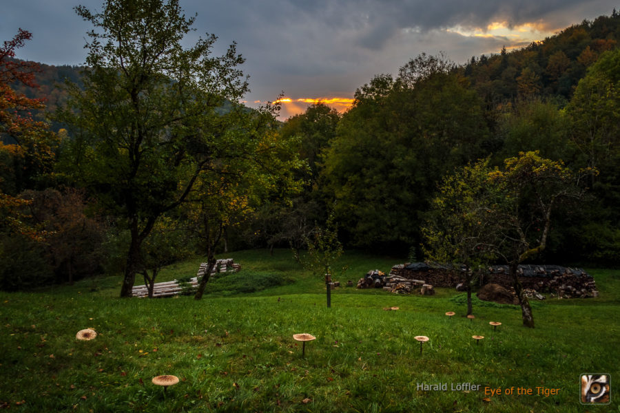 20201018 HLB 6793 HDR 900x600 - Adventskalender – Tür 24