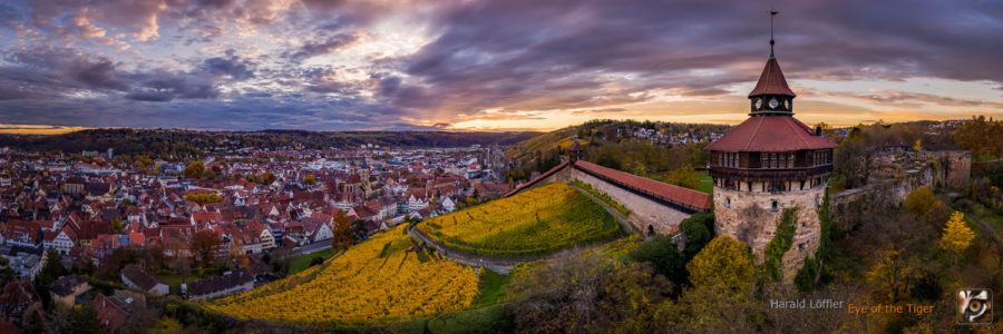 20201102 HLDP 9425 Pano 1 900x300 - Adventskalender – Tür 24