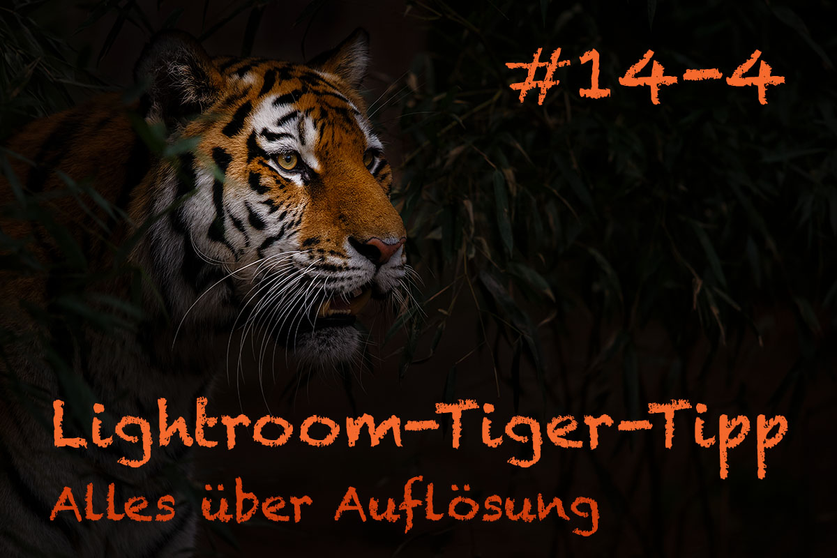 LTT014 00 Header 4 - Lightroom-Tiger-Tipp #14: "Alles über Auflösung" - Teil 4