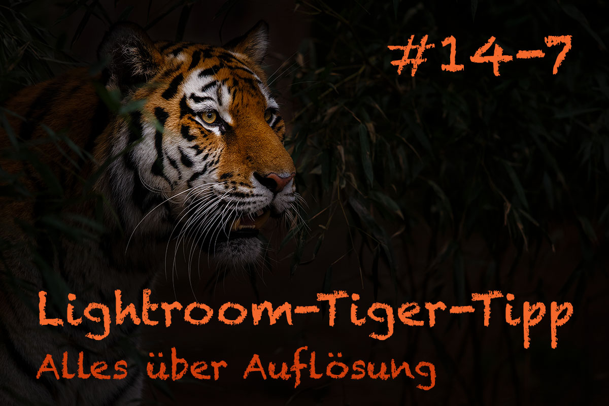 LTT014 00 Header 7 - Lightroom-Tiger-Tipp #14: "Alles über Auflösung" - Teil 7