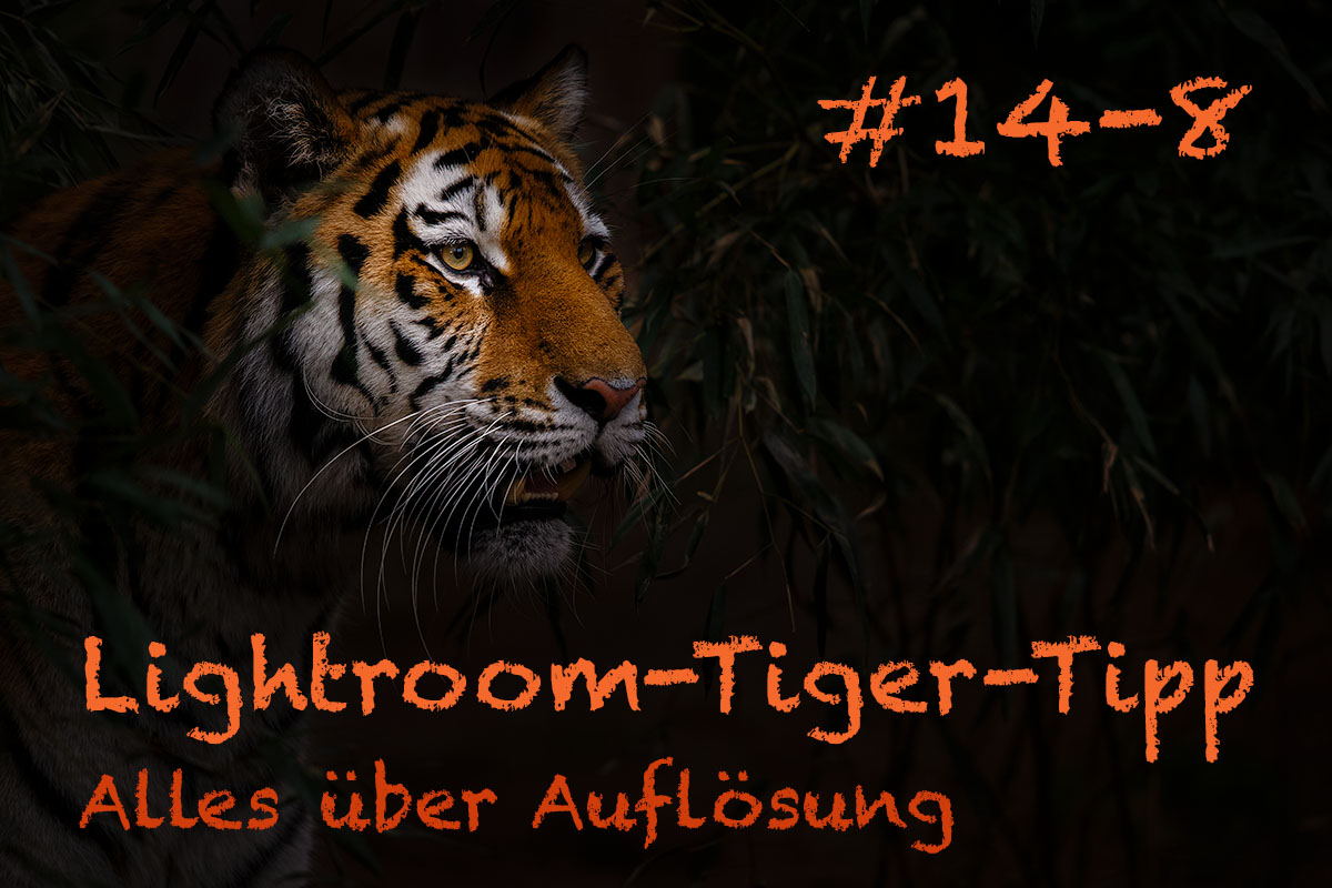 LTT014 00 Header 8 - Lightroom-Tiger-Tipp #14: "Alles über Auflösung" - Teil 8