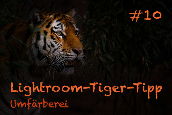 Lightroom-Tiger-Tipp #10 – Umfärberei